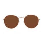Load image into Gallery viewer, I SEA LONDON SUNGLASSES IN GOLD/BROWN POLARIZED
