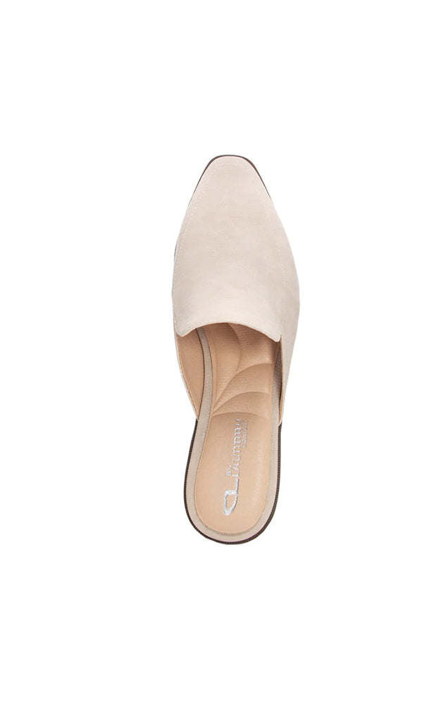 CL BY LAUNDRY SOFTEST MULE